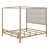 Or / brun clair