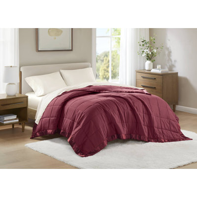 Windom Burgundy Lightweight Down Alternative King Blanket with Satin Trim