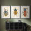 Beetle Bug I - reproduction sur mesure encadrée de qualité supérieure - 3 pièces-597752068-597752064