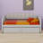 Upholstered Daybed with Pop-Up Trundle-792648564