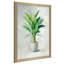 «Greenhouse Palm II», reproduction d'art-651223033-651223025