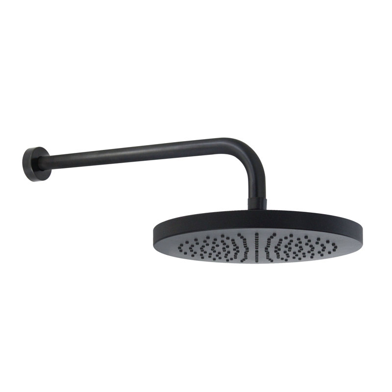 Rain Adjustable Shower Head 1.75 GPM GPM, Rubbed Bronze