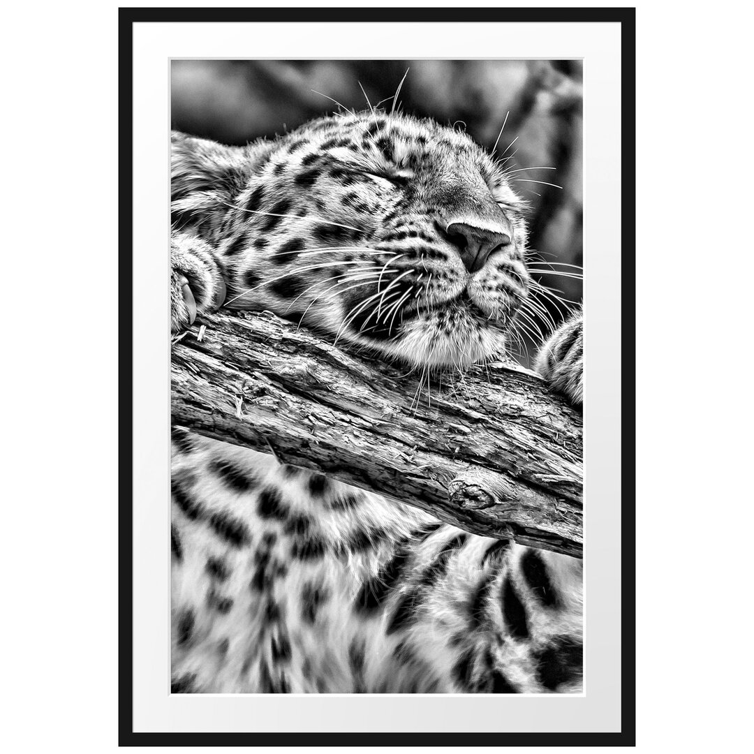 Gerahmtes Poster Verspielter Leopard