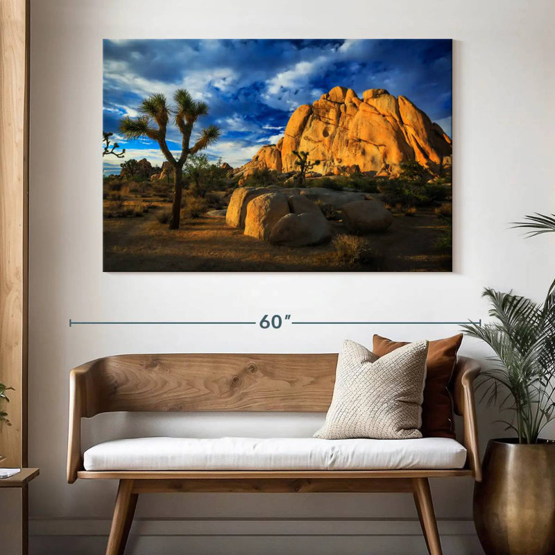 Nicci Joshua Tree Park Old Woman Rock, H 34 po x l 51 po