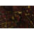 Rectangle Joya Burgundy Rug