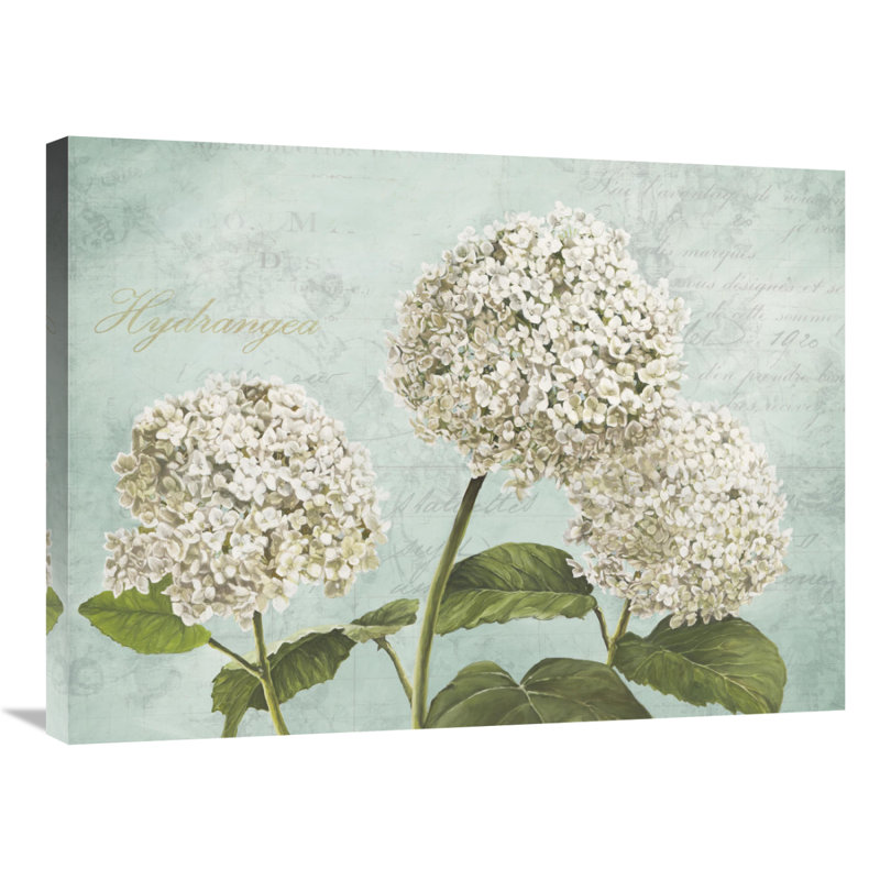 " Hydrangeas I ", 24" H x 32" W x 1.5" D