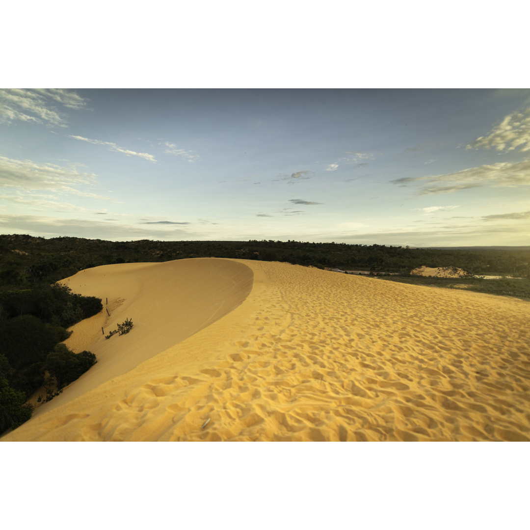 Sanddünen im JalapÃ£o State Park, Tocantins von FG Trade - Druck ohne Rahmen auf Leinwand