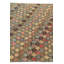 4x6 Peter Multi Rug