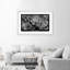 Washington Dc City Map - Single Picture Frame Print-417684310-417684311