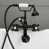 Oil Rubbed Bronze is out of stock