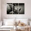 Rhino brun et blanc Brampt-108092936
