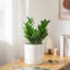 FLHPOT Ceramic Pot Planter