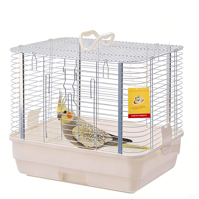 Aviaries Of Cage