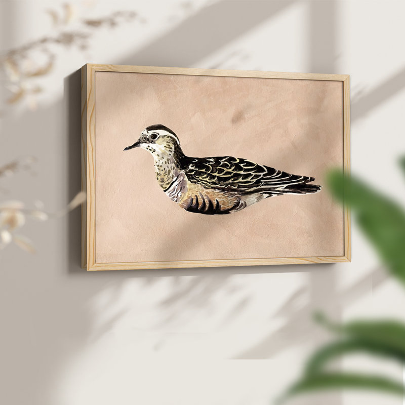 «Feathered Friend III», reproduction encadrée, Naturel, H 11 po x l 14 po