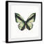 Vert forêt-papillon-impression sur papier-40081904
