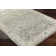 Oriental Indoor Rug