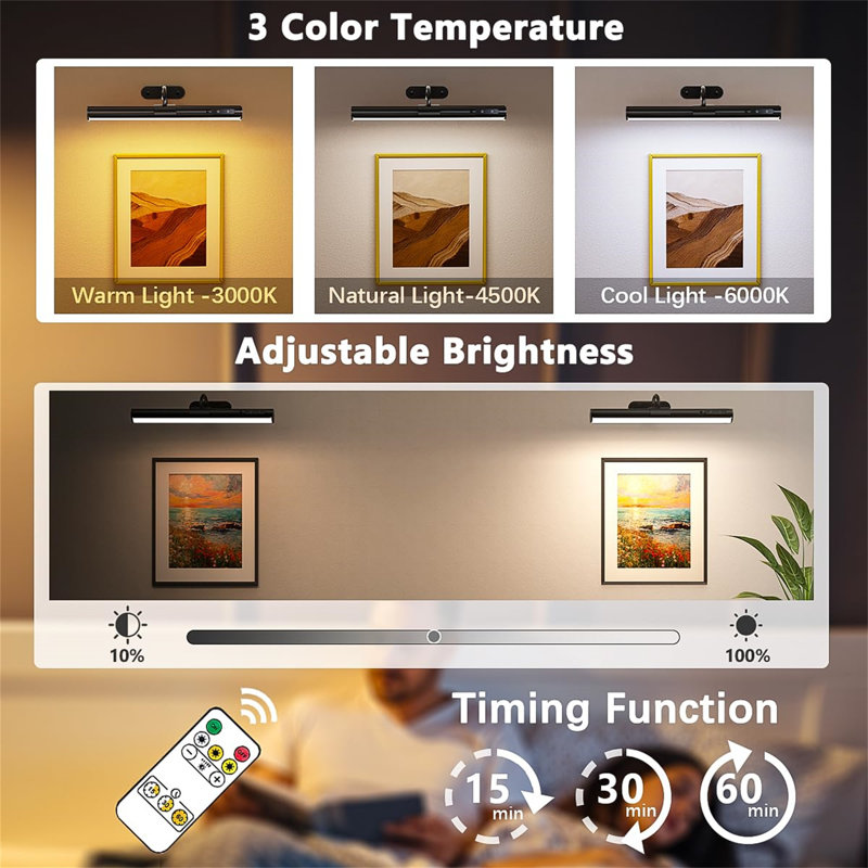 Battery Powered LED Wall Mount Picture Light