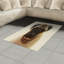 Tapis décoratif à longs fils en fibre de polyester à haute densité Pug-42029134