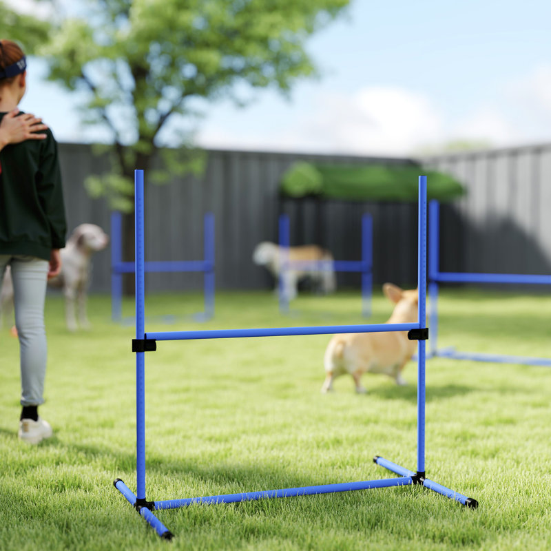 Ensemble d'exercice pour chien avec barre de saut réglable, Bleu, H 37,4 po x l 37,4 po x P 25,6 po