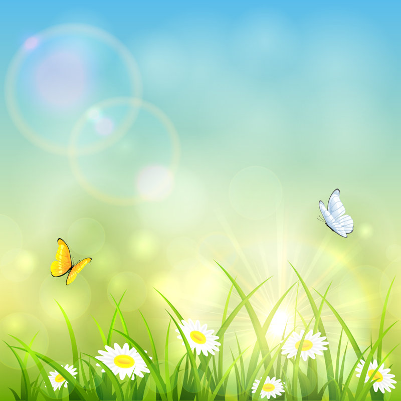 «Grass and Shinning Sun» par Losw - impression sur toile tendue, H 20 po x l 20 po