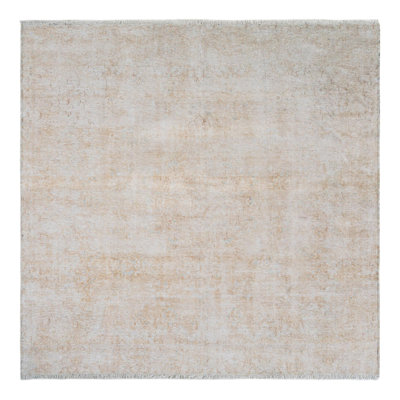 Rugs.com Jasmina Boutique Rug