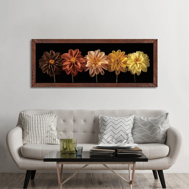Floral Salute by Assaf Frank - Floater Frame Panoramic Print on Canvas, 30.48 cm H x 91.44 cm W, Brown Framed