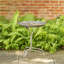 Eugeniya Pedestal Birdbath