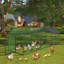 Walk In Chicken Run-736369782