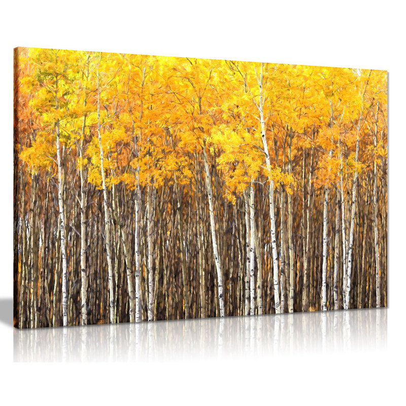 Aspen Trees Forest Nature - Wrapped Canvas Print, 61cm H x 91cm W