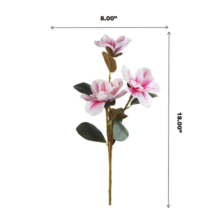 Magnolia Arrangement, Pink
