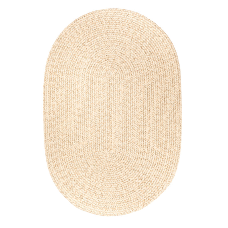 Smyth Hand Braided Synthetic Indoor Rug, Oval  2' x 3'