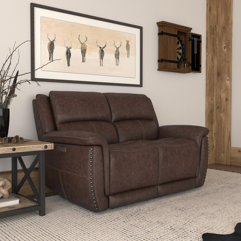 Bryce Power Reclining Loveseat with Power Headrest, Brown