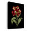 «Crimson Flowers on Black (A) III», impression sur toile tendue-476648897
