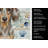 Dapple Dachshund Coastal Sea Glass Kitchen Towel-871463979