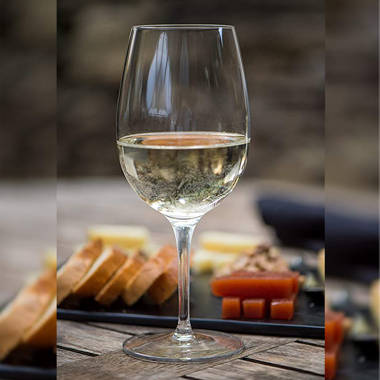 https://assets.wfcdn.com/im/42305287/resize-h380-w380%5Ecompr-r70/2102/210237153/11+oz.+White+Wine+Glass.jpg