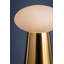 Cashel Rechargeable Table Lamp in Aged Brass
