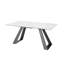 Ayati Rectangular 200Cm L x 90Cm W Ceramic Dining Table