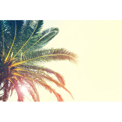 Palm Trees Branches - Wrapped Canvas Print