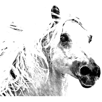 Décalcomanie murale Logan Horse I