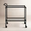 Isabellina Metal and Glass Bar Cart