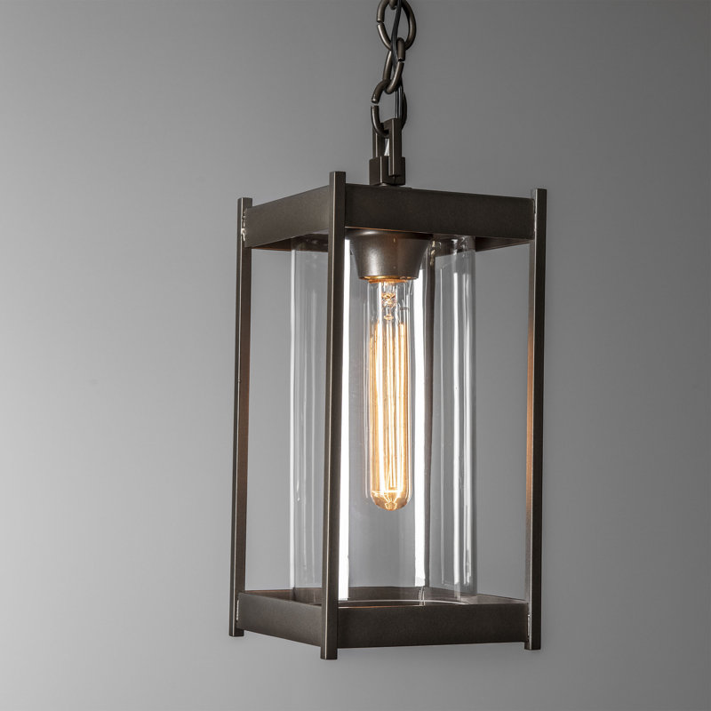 Cela Outdoor Pendant, 14.1" H x 6.2" W x 6.2" D, Clear, Coastal Black