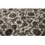 Wool Oriental Indoor Rug