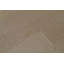 Striped Area Rug in Beige
