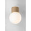 Ardsley 1 Light Flush Mount