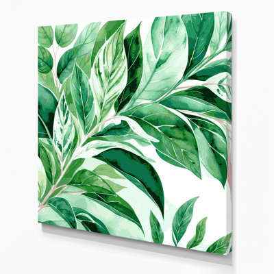 Art mural sur toile Botanical Syngium