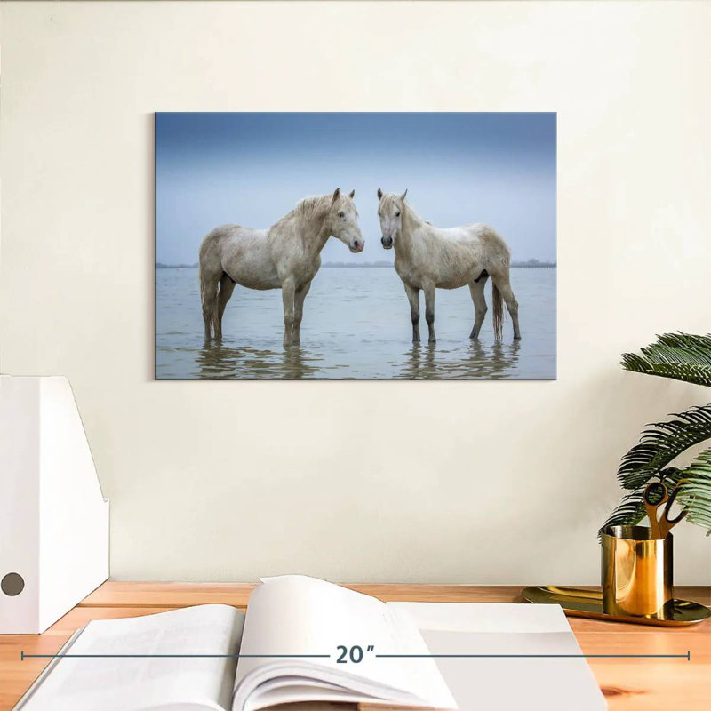 Standing Camargue Horses
