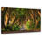 Lilie The Dark Hedges Forest Ballymoney-107851508