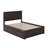 Marshallville Solid Wood Platform Bed with Panel Footboard and Trundle-89114861