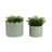 Weeda Decorative Planters Ceramic And Stoneware With Textured Scallop Design And Curved Rim Detailing Set Of 2-899253800-899253801