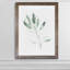 « simple sage ii »-cadre photo imprimé sur verre-1626722279-1626722276